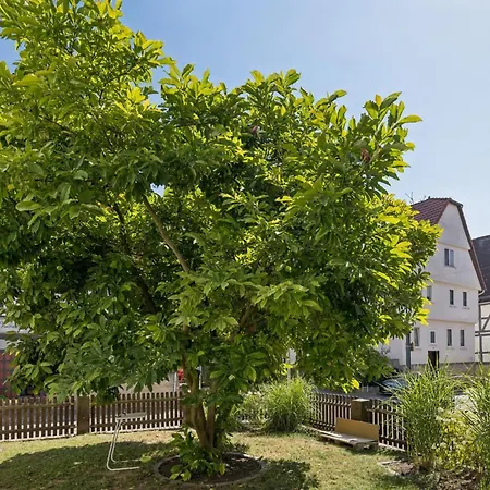 Magnolia - Neubau Im Fachwerkhaus Mit Eigenem Stadtgarten Appartement *