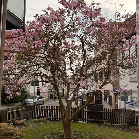Magnolia - 4 Sterne-neubau Im Fachwerkhaus Mit Stadtgarten * Wolfhagen